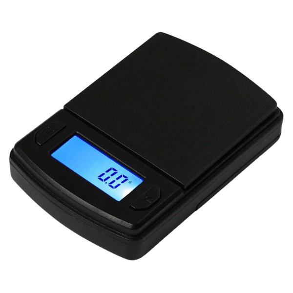 Fast Weight Scale / MS600 600g x 0.1g